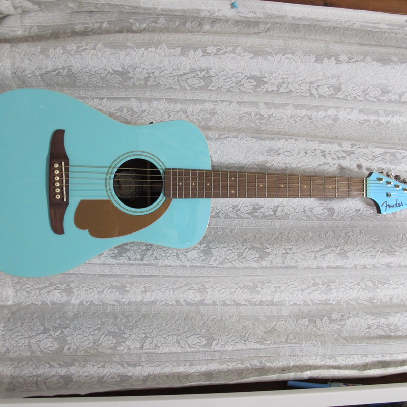 Fender Acoustics MALIBU Player ASWの画像